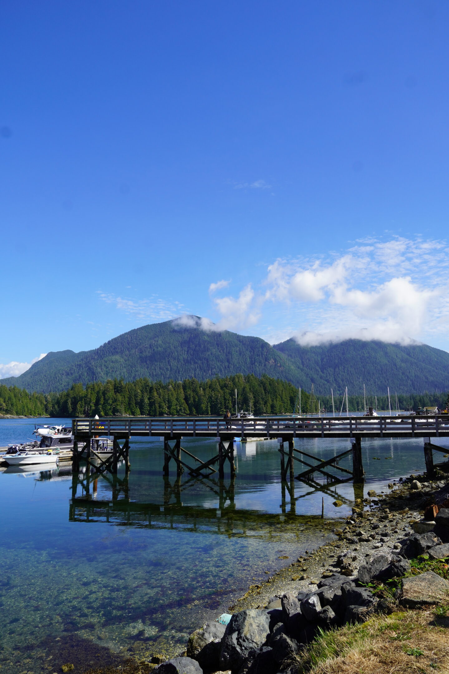 Wooden pier over water with boats trees and mountains in background in Tofino Canada