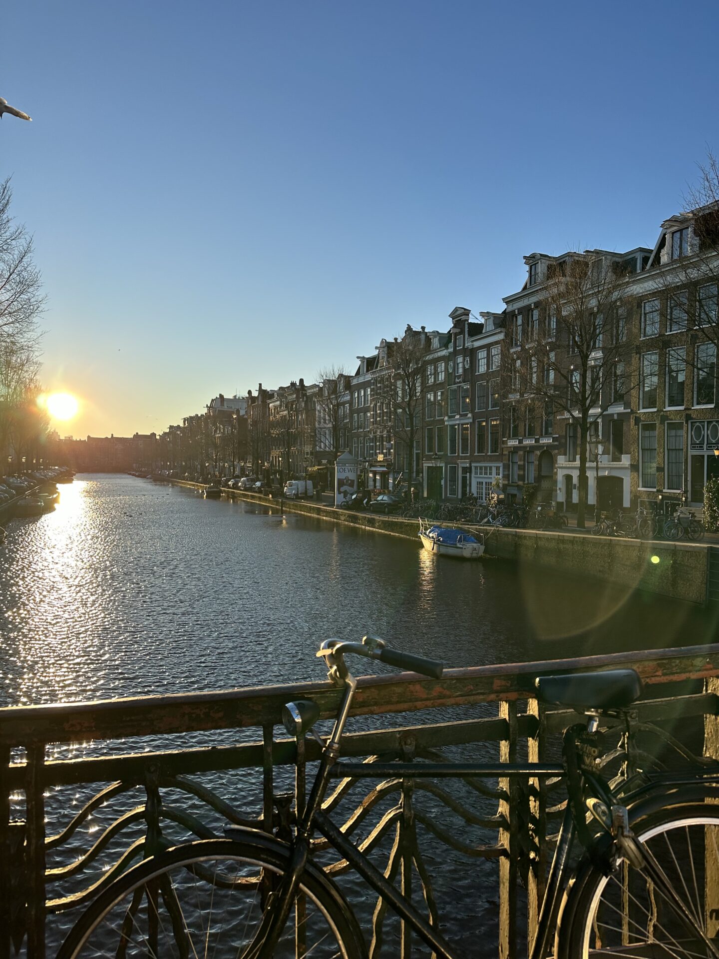 morning in amsterdam canals